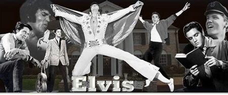 Elvis Biyografisi: İlk İzlenimler